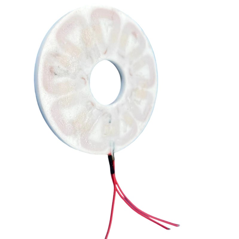 Bobina de Disco Sem Núcleo Tri - Wind Turbine Generator avaliação e preço
